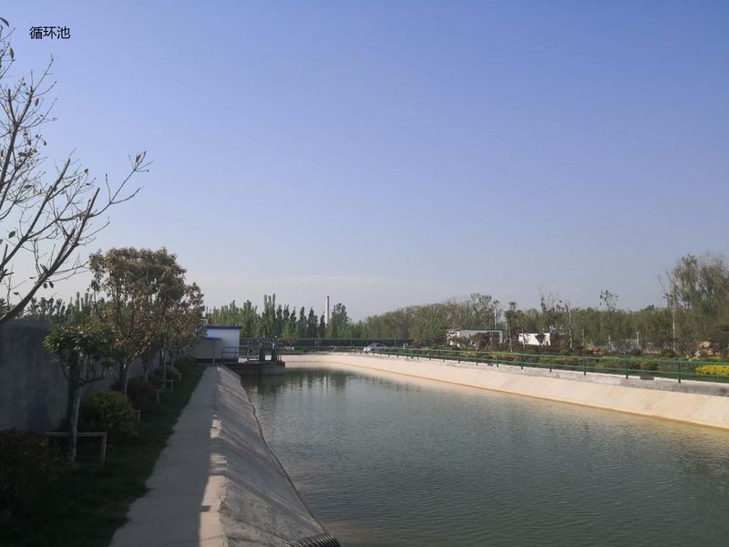 Trung Quốc Shandong Xingshun New Material Co., Ltd. Hồ sơ công ty 